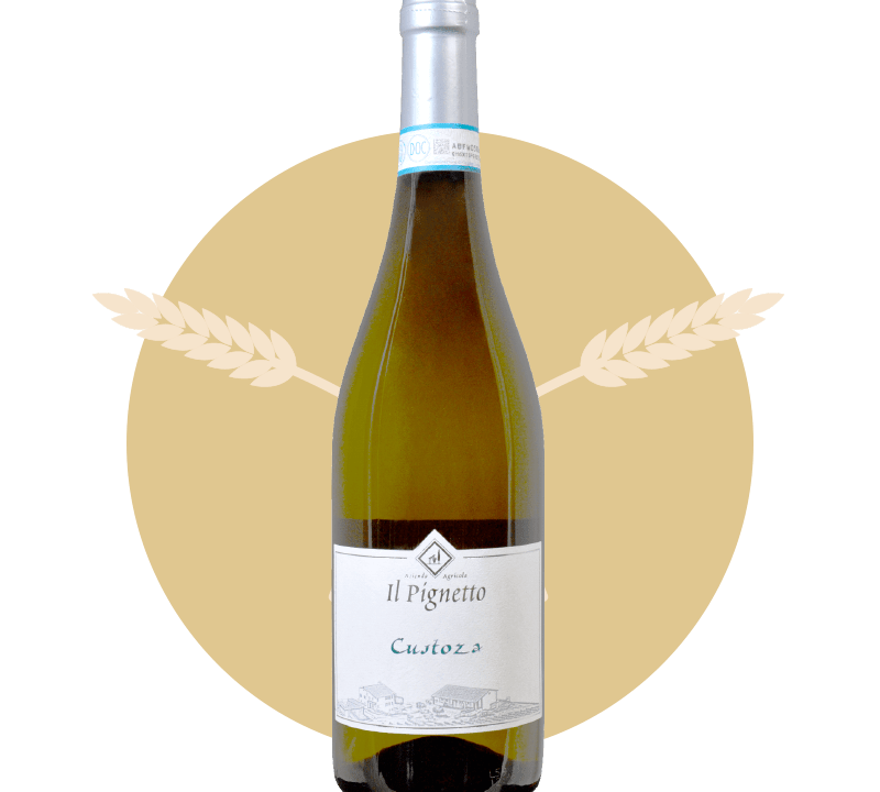 Osteria la Ruta | Bianco Di Custoza 2020 Il Pignetto