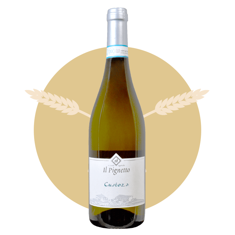 Osteria la Ruta | Bianco Di Custoza 2020 Il Pignetto