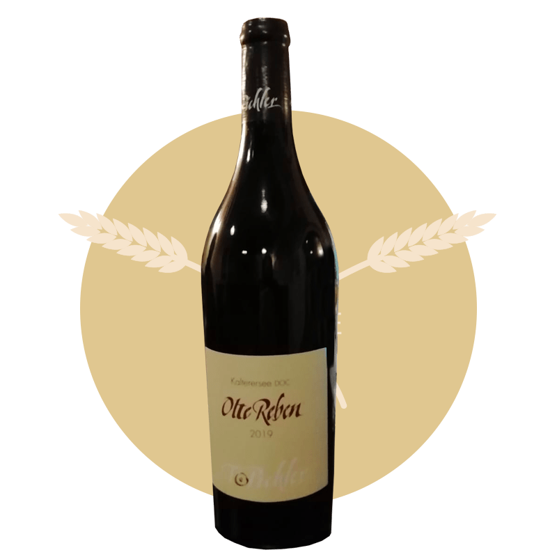 Osteria la Ruta | Schiava Vernatsch 2019 - OlteReben